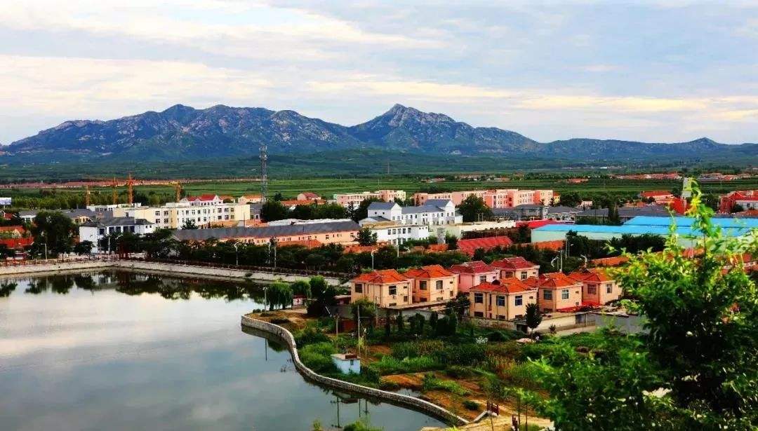 青島市“十四五”生態(tài)環(huán)境保護規(guī)劃了哪些農(nóng)村人居環(huán)境治理任務(wù)？